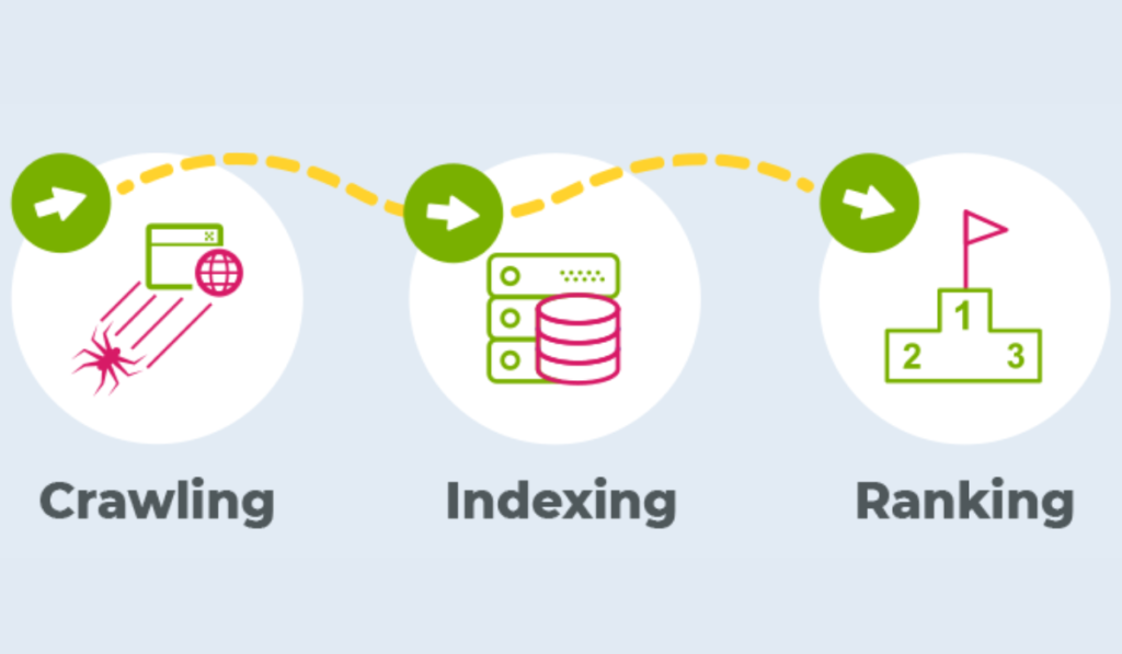 Search Engine Ranking